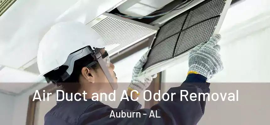  Air Duct and AC Odor Removal Auburn - AL