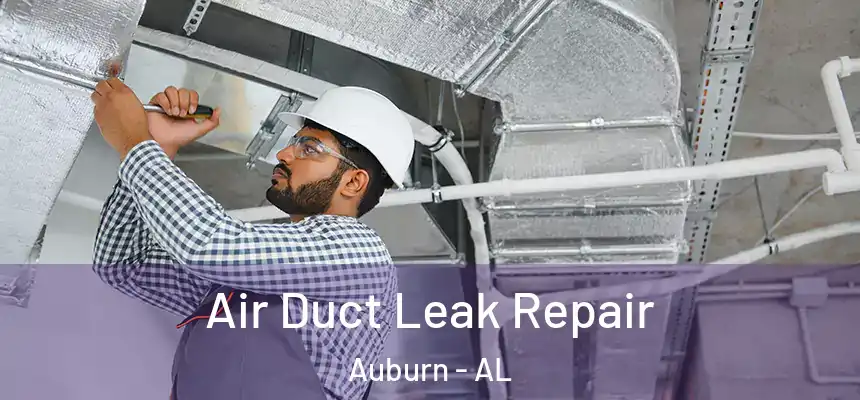  Air Duct Leak Repair Auburn - AL