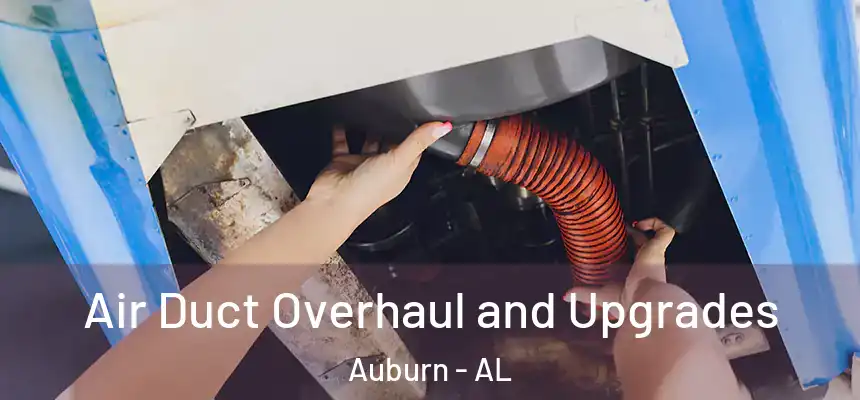  Air Duct Overhaul and Upgrades Auburn - AL
