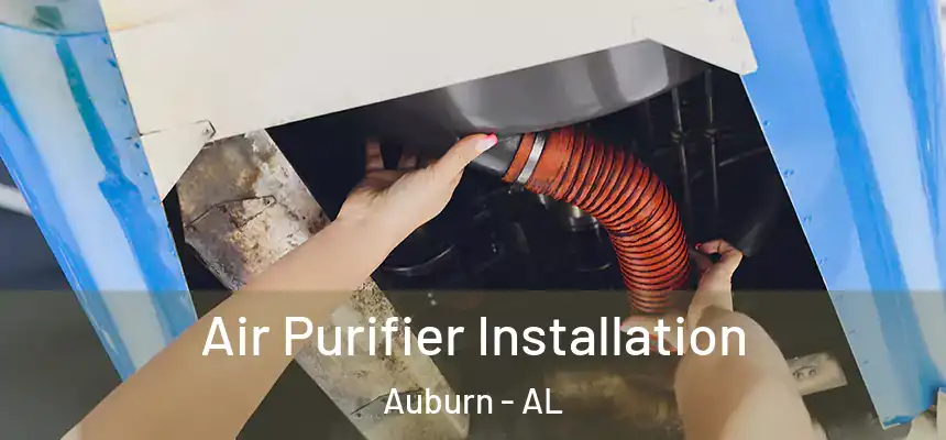 Air Purifier Installation Auburn - AL