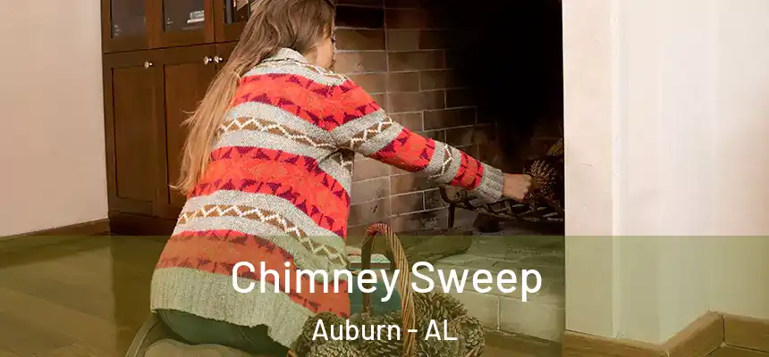  Chimney Sweep Auburn - AL