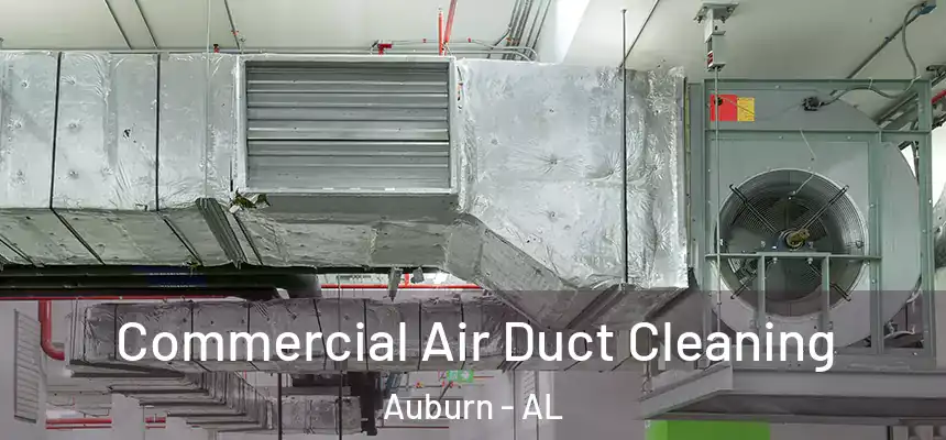 Commercial Air Duct Cleaning Auburn - AL