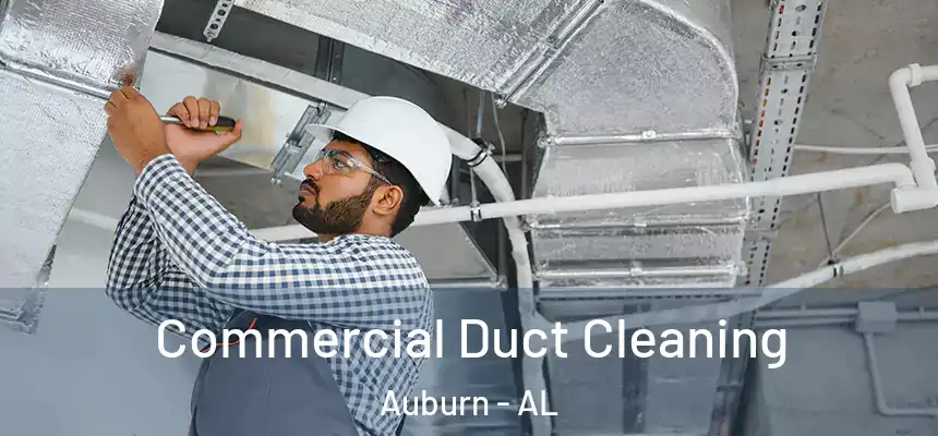  Commercial Duct Cleaning Auburn - AL