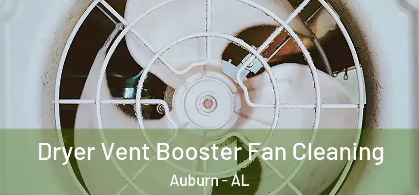 Dryer Vent Booster Fan Cleaning Auburn - AL