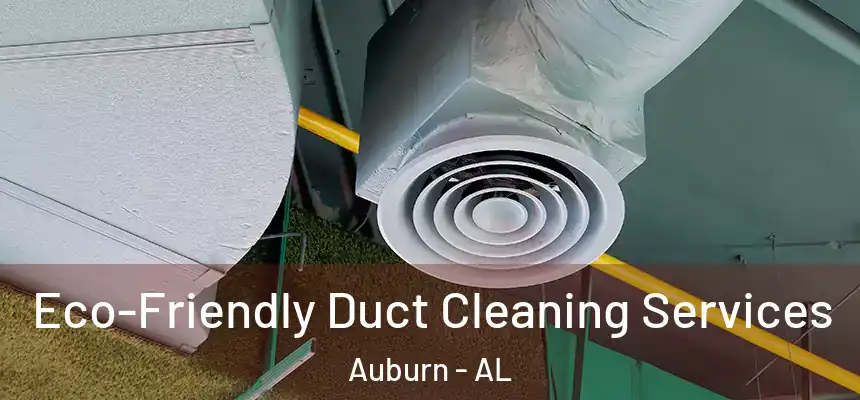  Eco-Friendly Duct Cleaning Services Auburn - AL