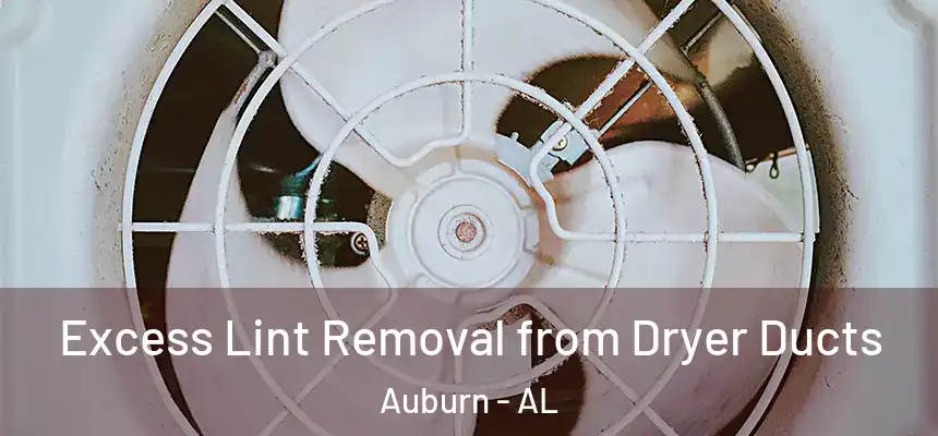 Excess Lint Removal from Dryer Ducts Auburn - AL