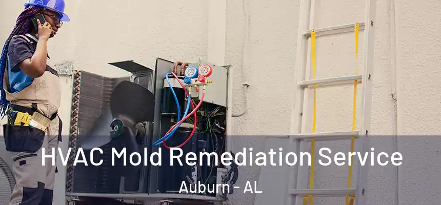 HVAC Mold Remediation Service Auburn - AL