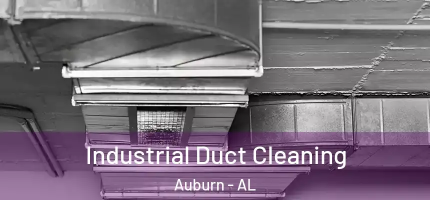  Industrial Duct Cleaning Auburn - AL