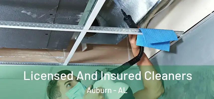  Licensed And Insured Cleaners Auburn - AL