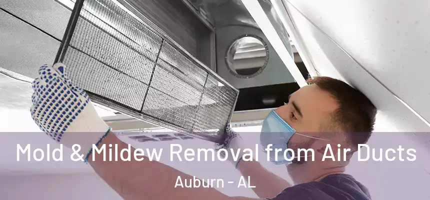 Mold & Mildew Removal from Air Ducts Auburn - AL