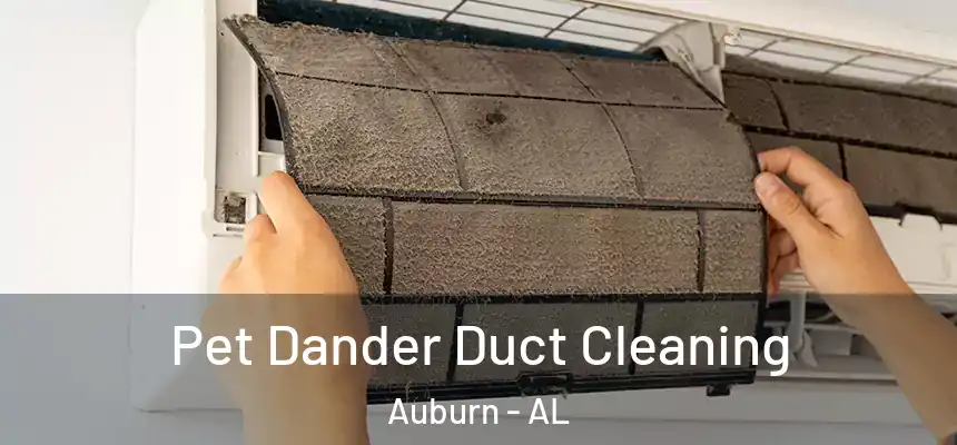  Pet Dander Duct Cleaning Auburn - AL