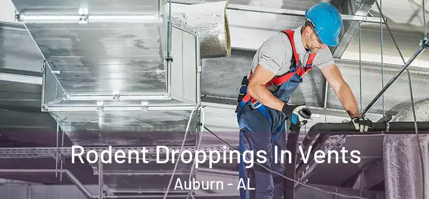 Rodent Droppings In Vents Auburn - AL