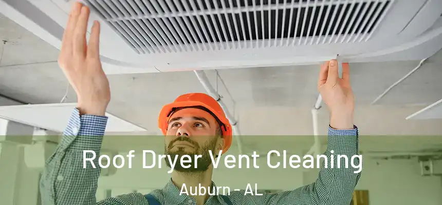 Roof Dryer Vent Cleaning Auburn - AL