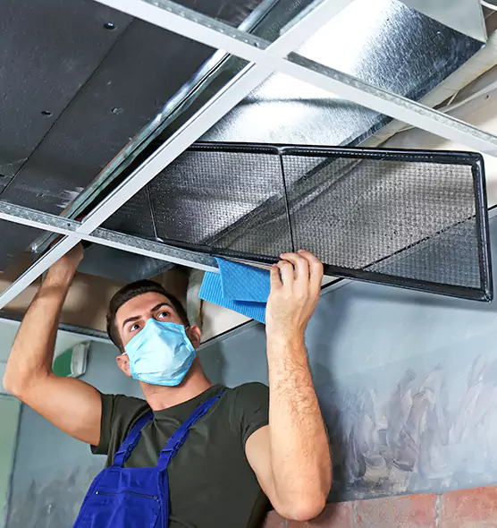 About Air Duct Bacteria Removal in Auburn