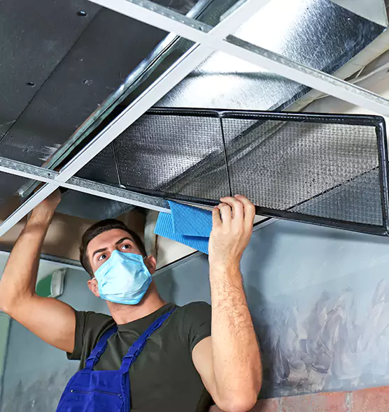 Professional Air Duct Pollen Cleaning in Auburn, AL