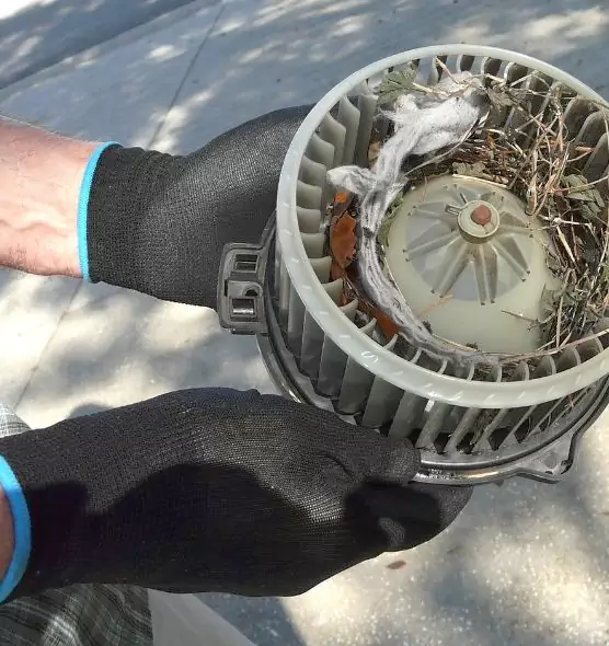 About Air Duct Rat Removal in Auburn, AL