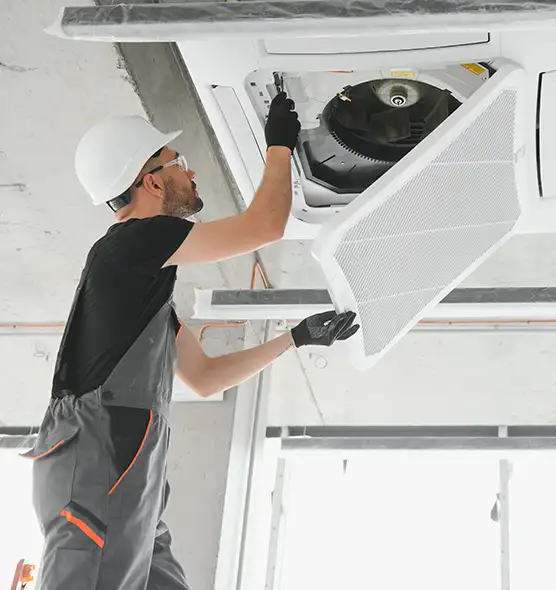 About Air Duct Rodent Removal in Auburn, AL