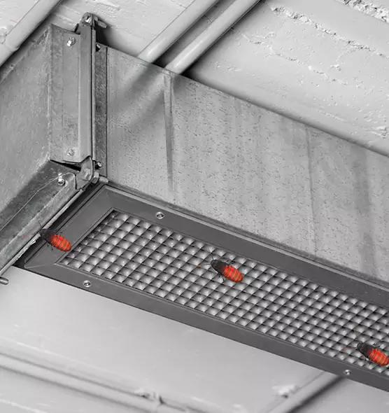 Affordable Insect Removal from Air Ducts in Auburn, AL