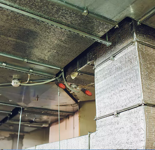 Why Homeowners & Businesses Trust Us in Auburn, AL?