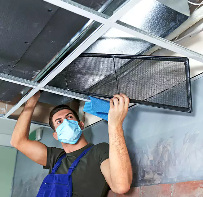 Why Homeowners Businesses Trust Us in Auburn, AL