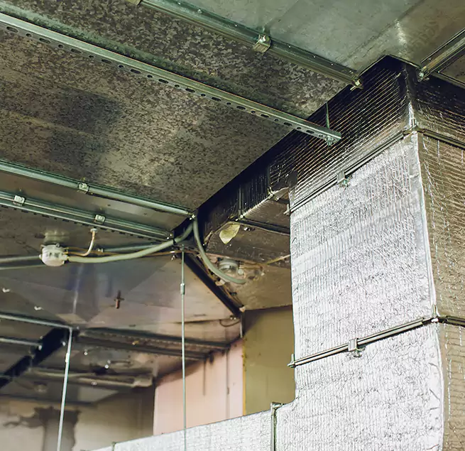 Why Homeowners & Businesses Trust Us in Auburn, AL?